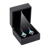 CA02/BK Black Soft Touch Lighted Earring Box